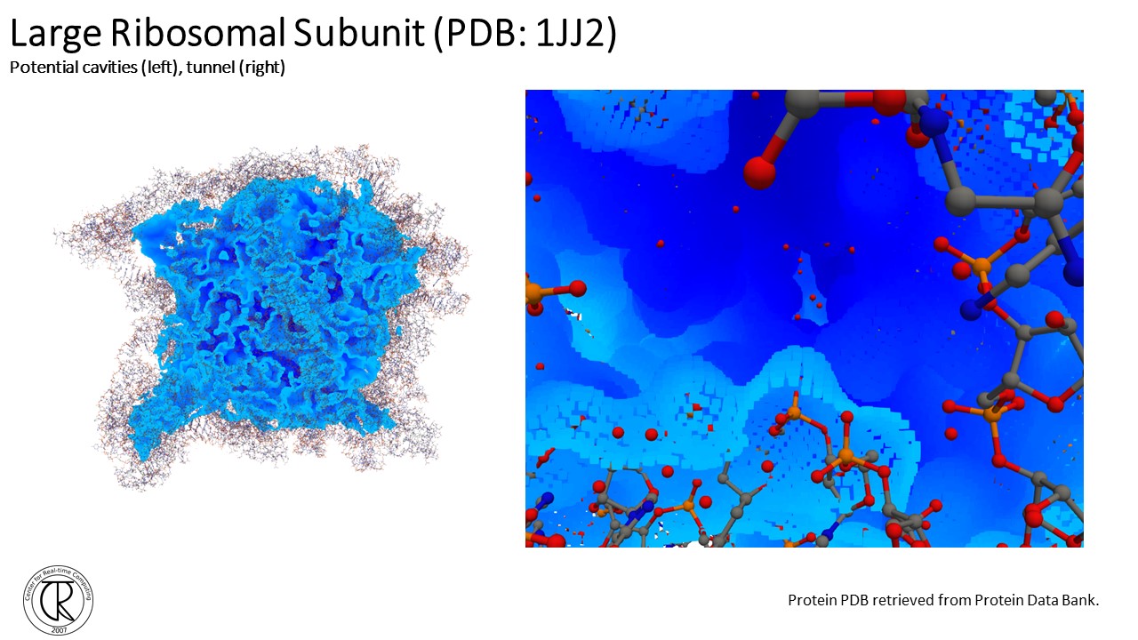 Protein-Slide23.jpg