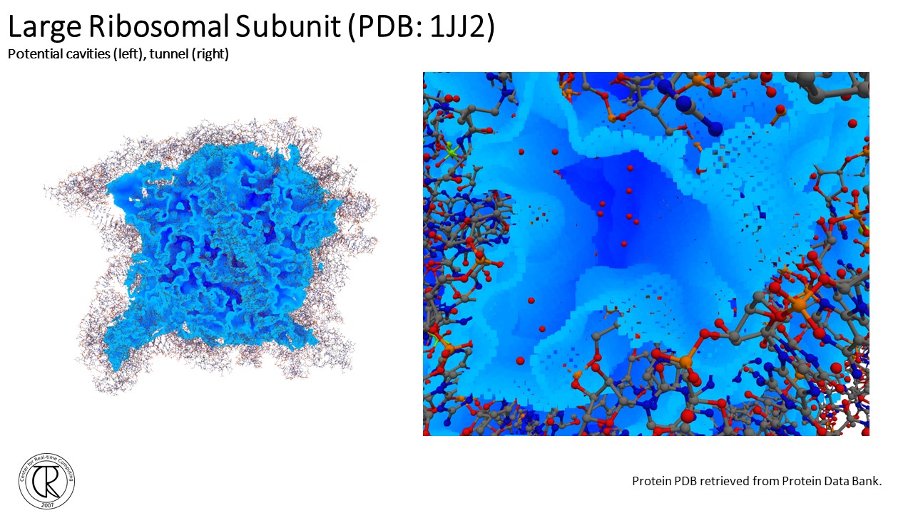 Protein-Slide24.jpg