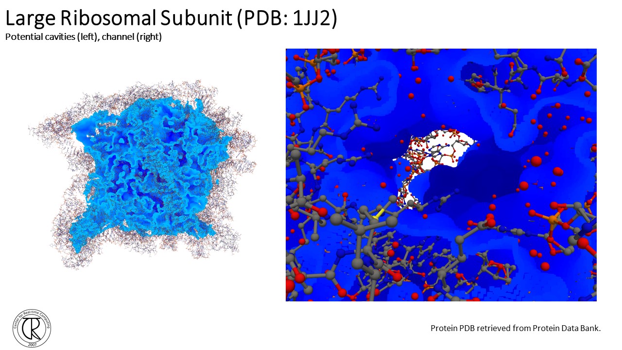 Protein-Slide22.jpg