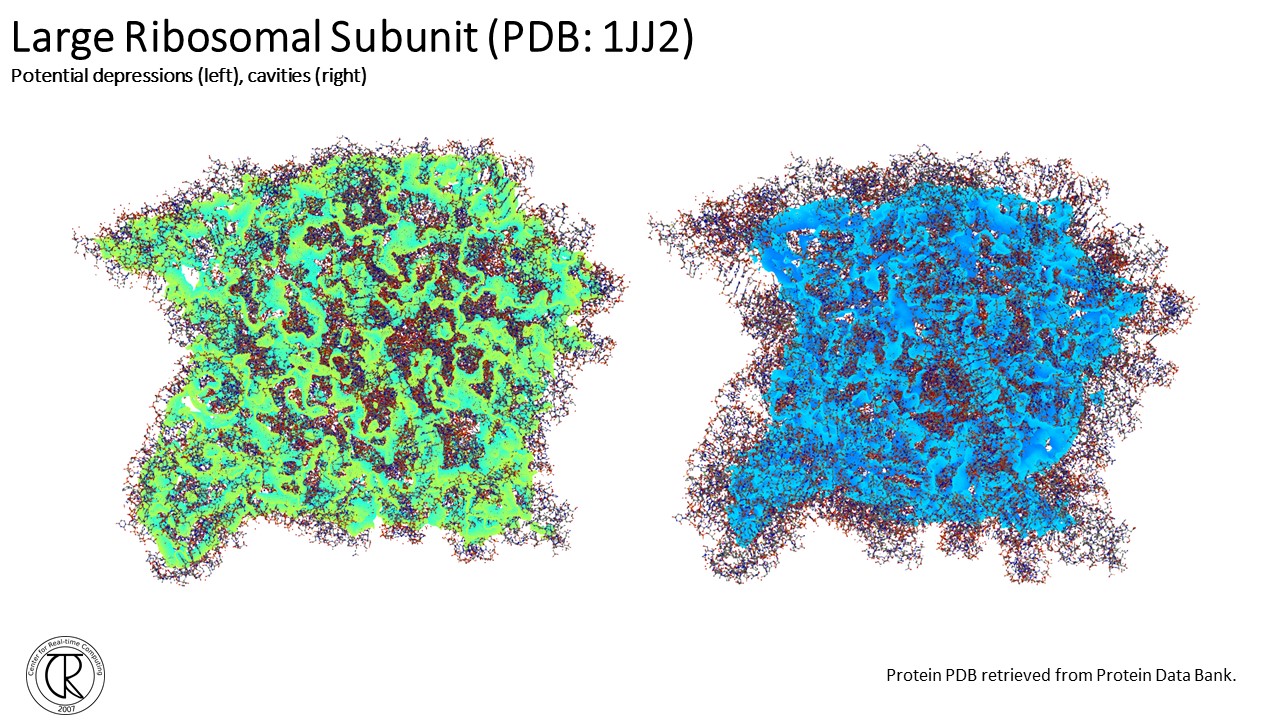 Protein-Slide21.jpg