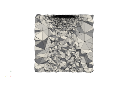 AdaptedMesh