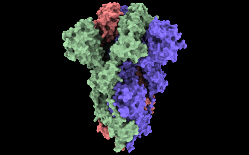 Figure 7: The Van der Waals surface of the COVID-19 spike glycoprotein (6vxx).