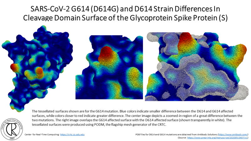 File:CRTC ProteinCavities D614G 8.png