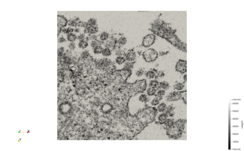 File:COVID-19-23311,uniform,e=20,suface.png