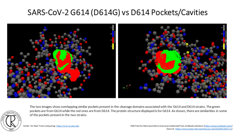 File:CRTC ProteinCavities D614G 5.png