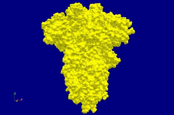 Figure 12: Volumetric image of the Van der Waals surface of the COVID-19 spike glycoprotein (6vxx). There are 15.5 million voxels in this volume.