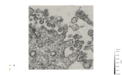 File:COVID-19-23311,w=0.1,e=20,suface.png