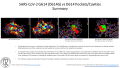 Thumbnail for version as of 14:50, 7 July 2020