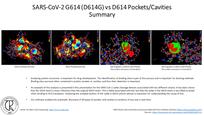 File:CRTC ProteinCavities D614G 7.png