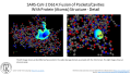 Thumbnail for version as of 14:49, 7 July 2020