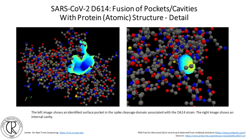 File:CRTC ProteinCavities D614G 2.png