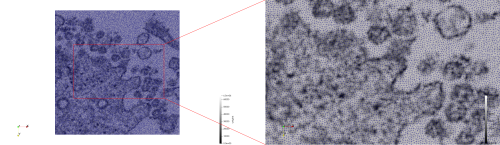 File:COVID-19-23311,uniform,e=20,triangulation.png
