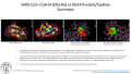 Thumbnail for version as of 12:24, 7 July 2020