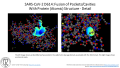 Thumbnail for version as of 14:42, 7 July 2020