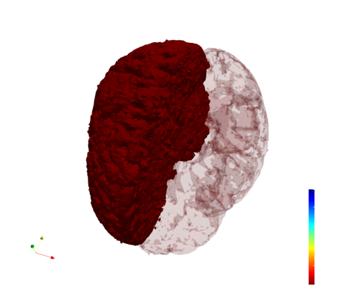 Big-Brain,d=2.png