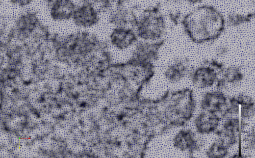 File:COVID-19-23311,uniform,e=20,triangulation,zoom.png