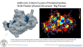 Thumbnail for version as of 14:49, 7 July 2020