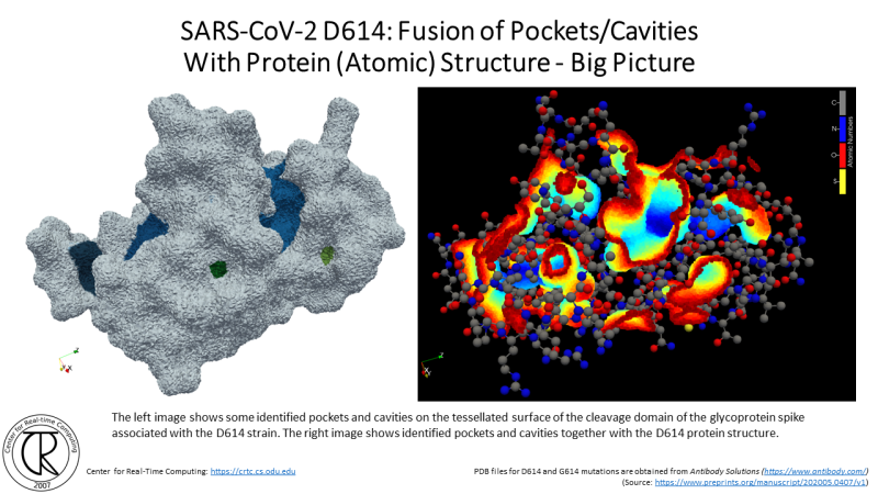 File:CRTC ProteinCavities D614G 1.png