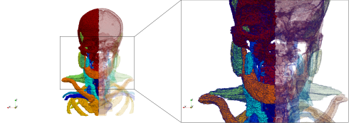 Head-Neck,d=1.5.png