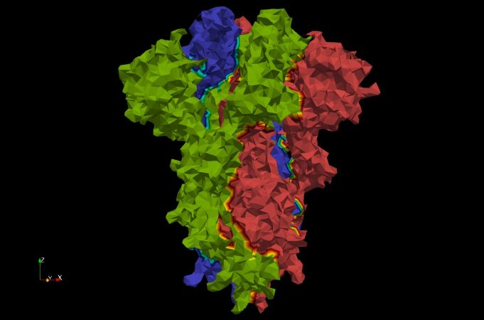 Figure 11: A Delaunay triangulation using α-shapes with α=3 of the COVID-19 spike glycoprotein (6vxx). Using α-shapes we can get a better approximation of the surface. Generated using the Delaunay3D filter in ParaView.